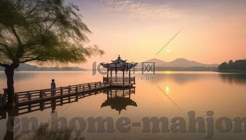 2006德国世界杯新浪-2006德国世界杯新浪，一场激情与回忆的盛宴
